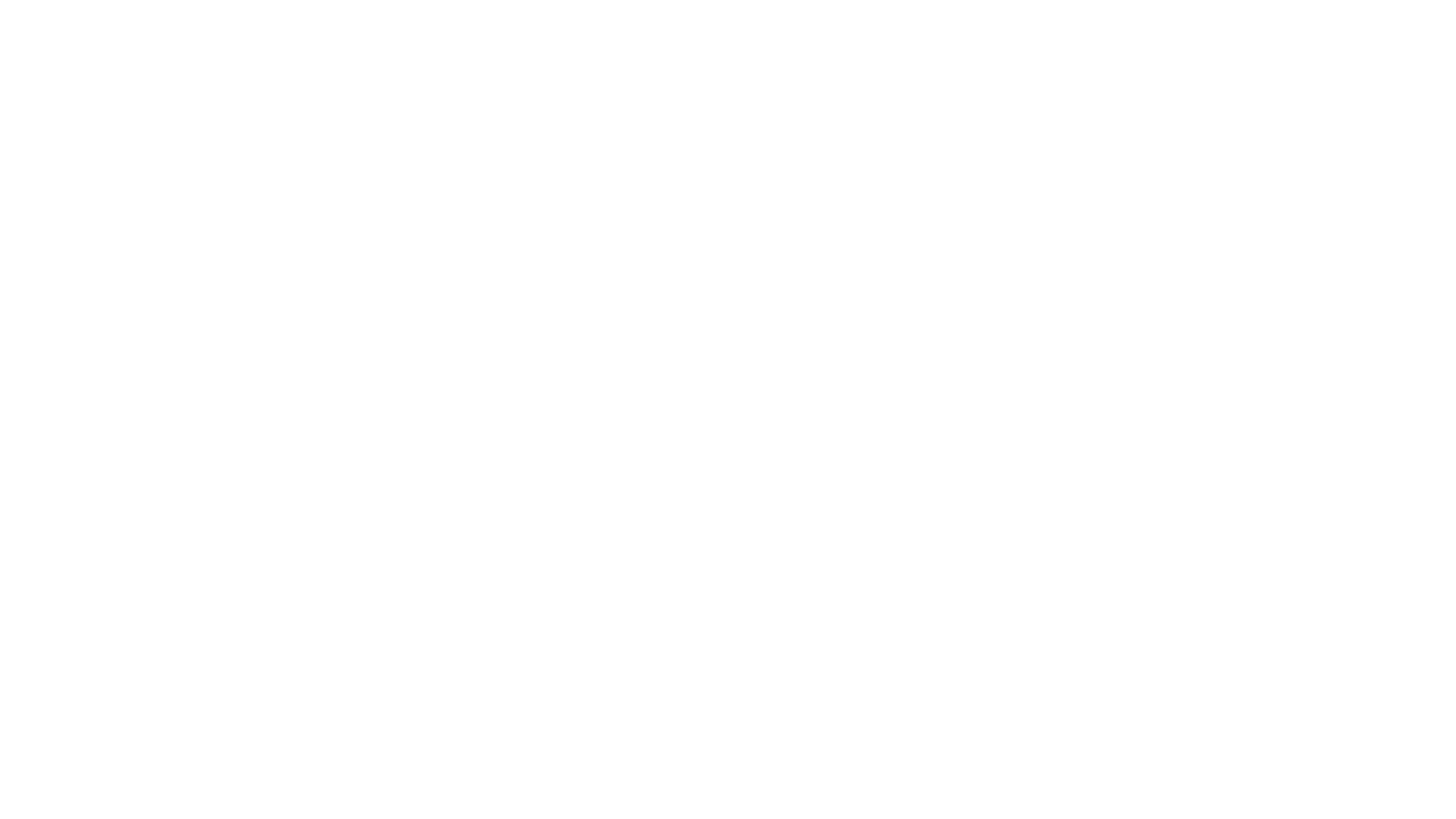 Five Star Painting white Logo